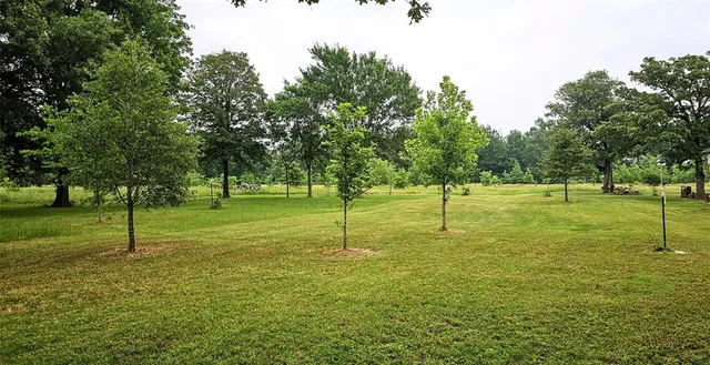 a park view with a lake view