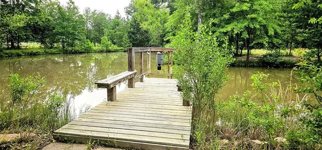 a view of lake with green space