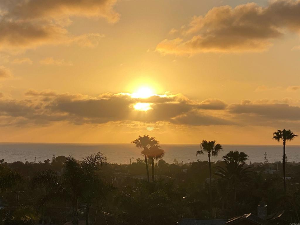 707 Passiflora Avenue Encinitas, CA 92024 - Photo 20 of 45