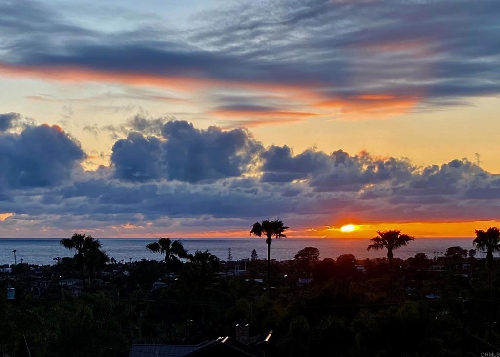 707 Passiflora Avenue Encinitas, CA 92024 - Photo 44 of 45