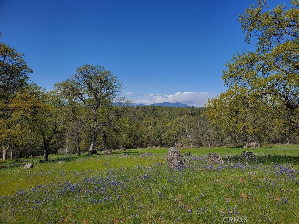 11842 Oak Run Road Oak Run, CA 96069 - Photo 1 of 1 a view of a green field with trees