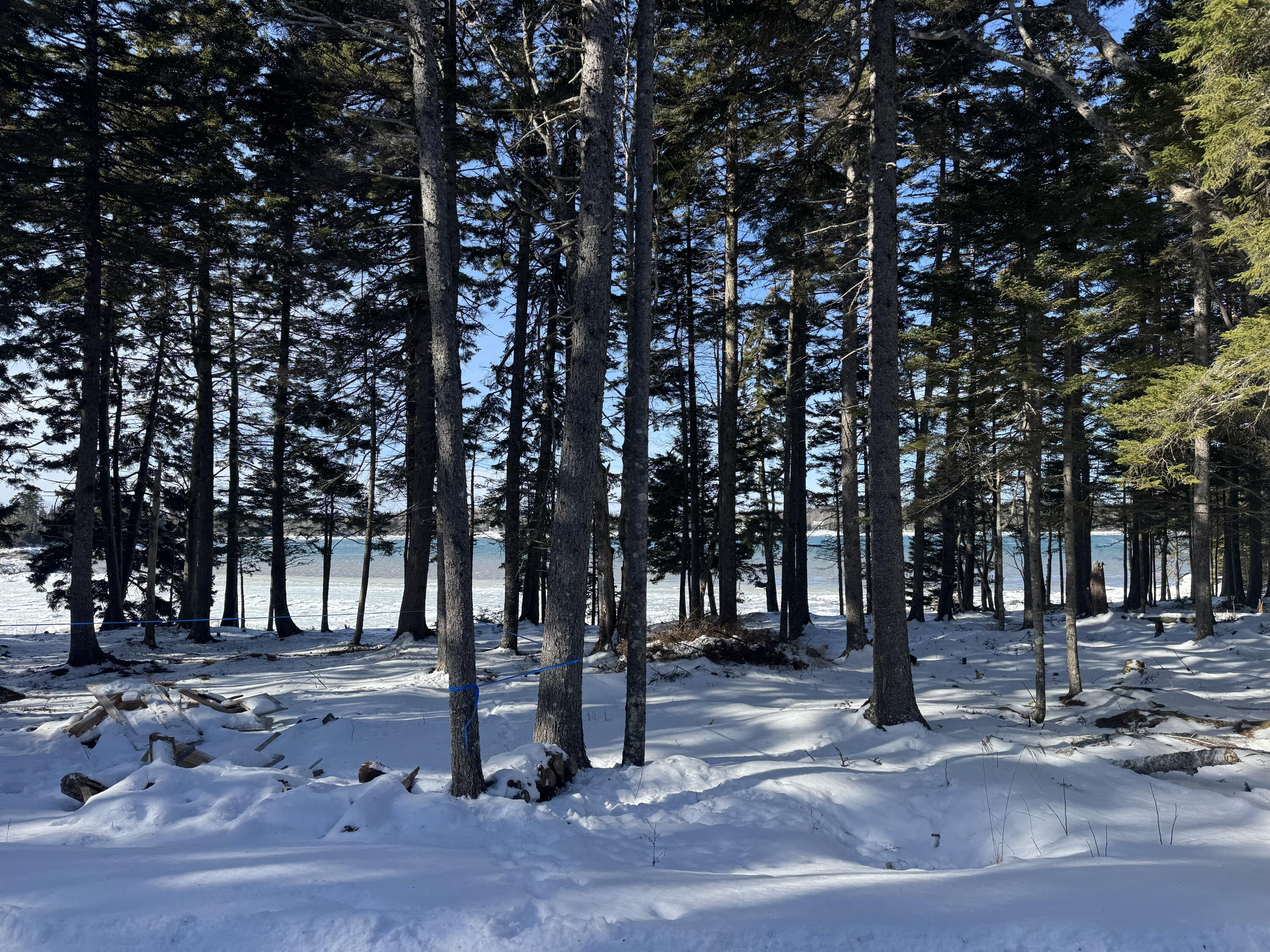 Lot B Fort Williams Road Harrington, ME 04643 - Photo 27 of 36