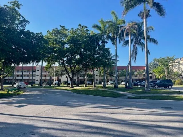 a view of a yard and tree s