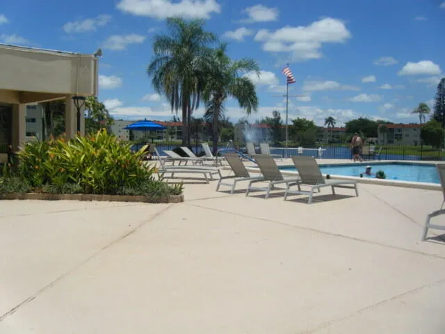 a row of palm trees and swimming pool in the backyard of a house