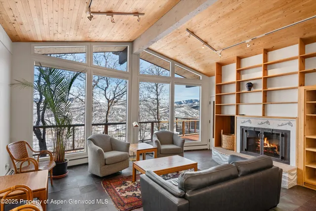 a living room with furniture a fireplace and a floor to ceiling window