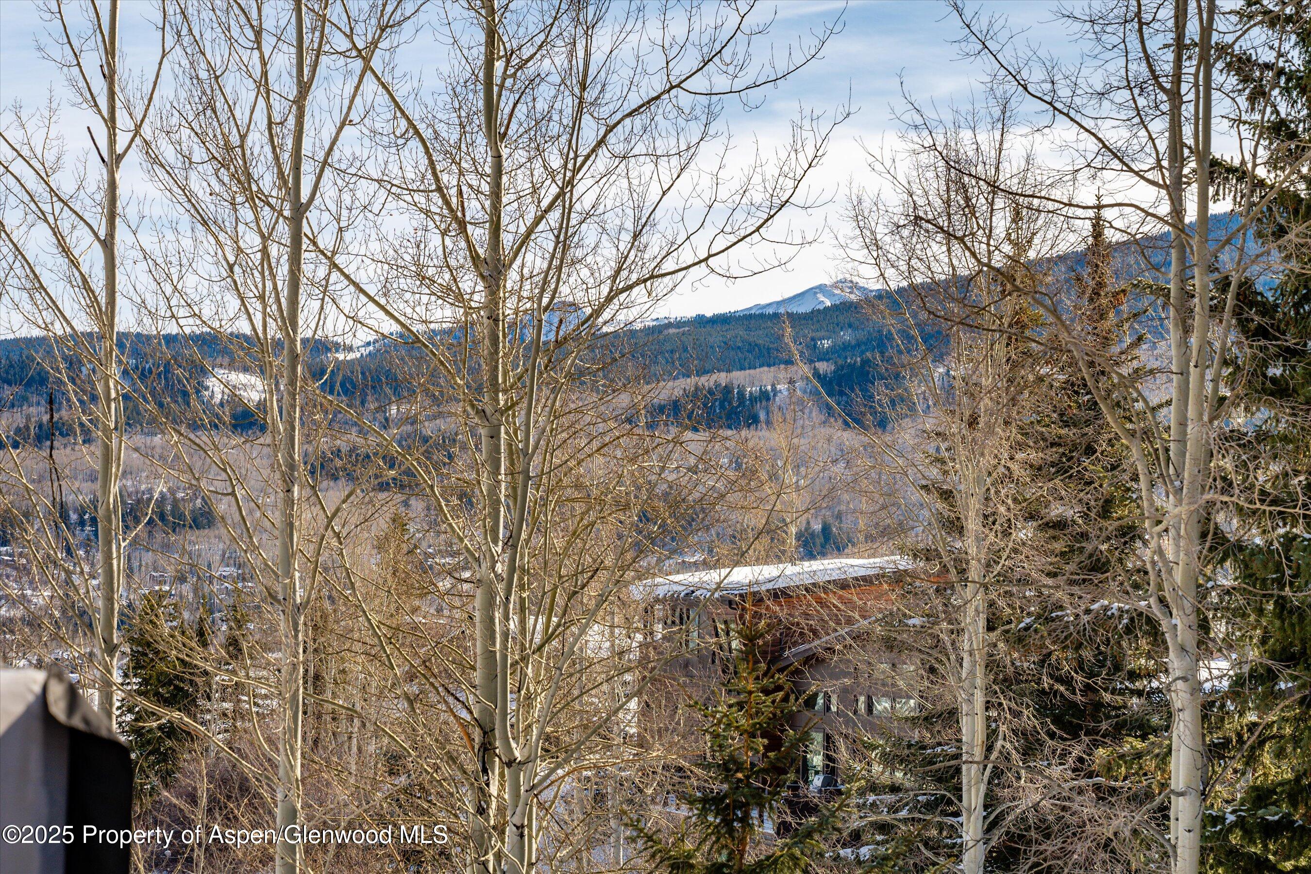 328 Oak Ridge Road Snowmass Village, CO 81615 - Photo 28 of 44 a backyard of a house with lots of green space