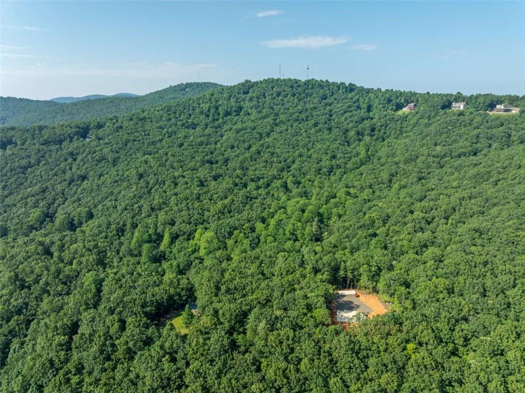 1298 Cold Stream Trail Jasper, GA 30143 - Photo 5 of 57