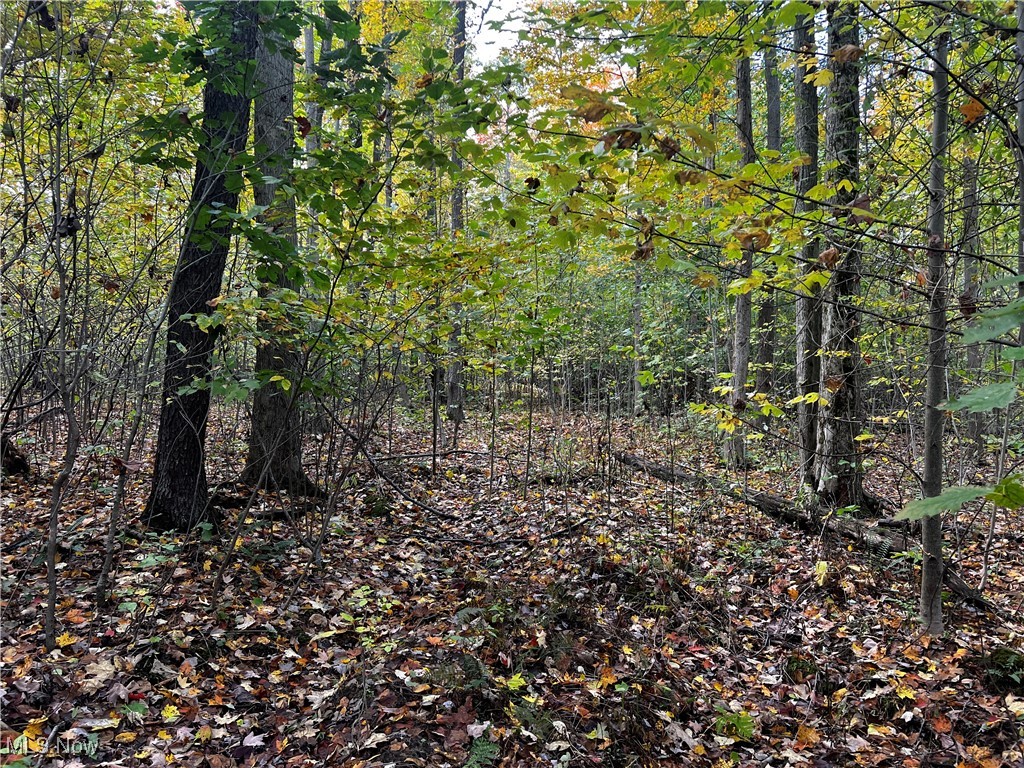 Topper Road Jefferson, OH 44047 - Photo 20 of 35