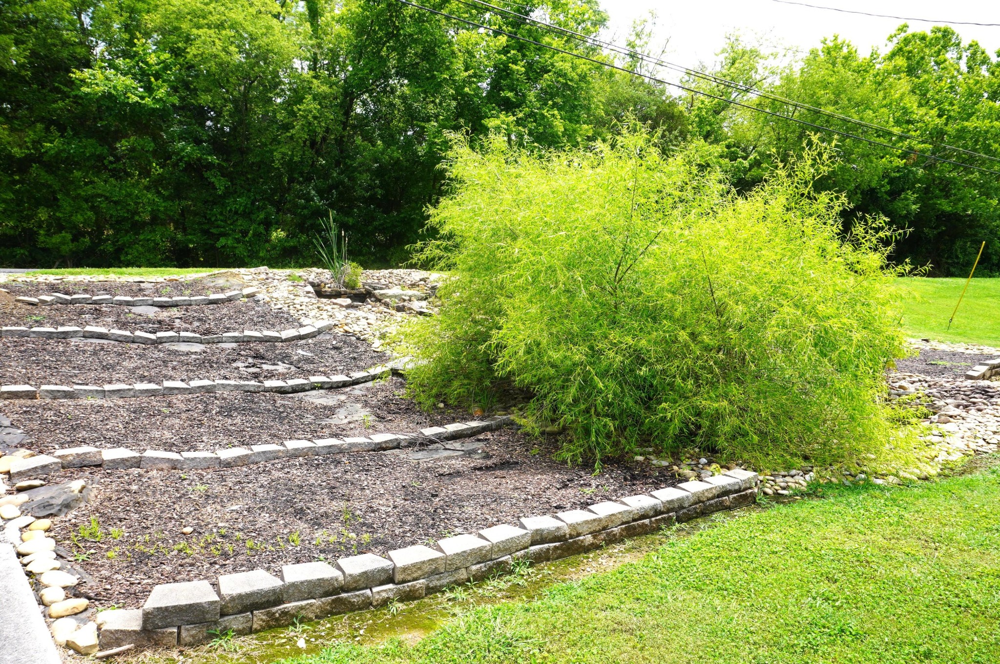 189 Big Bend Road Strawberry Plains, TN 37871 - Photo 36 of 43 Gallery Image 36