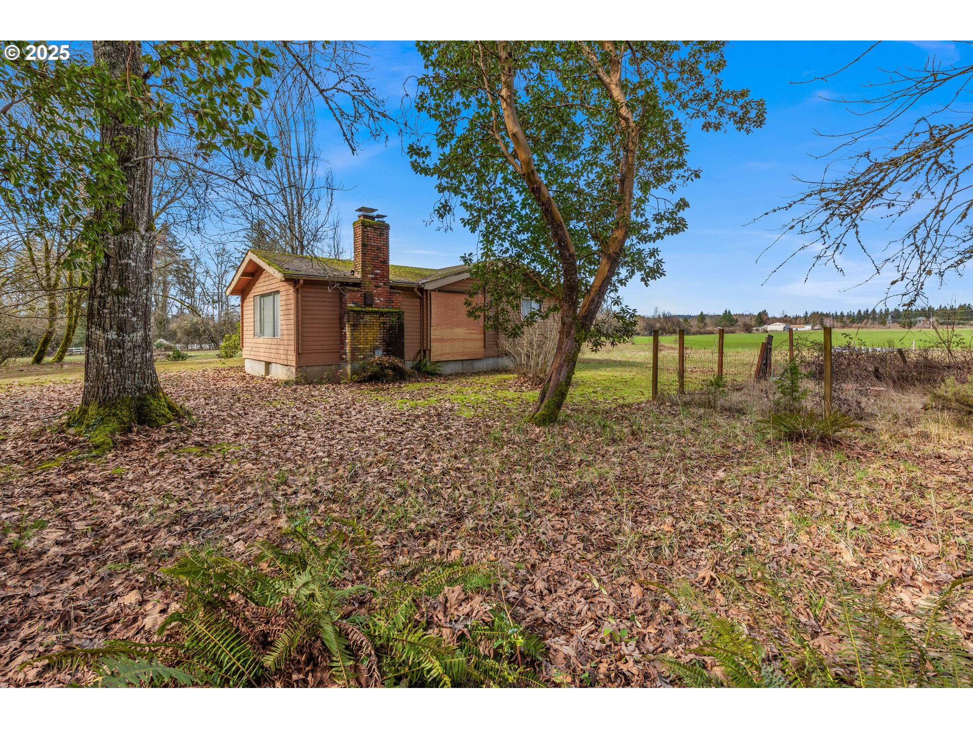 5565 Southwest Kruse Road Wilsonville, OR 97070 - Photo 7 of 13 a view of a yard with a tree