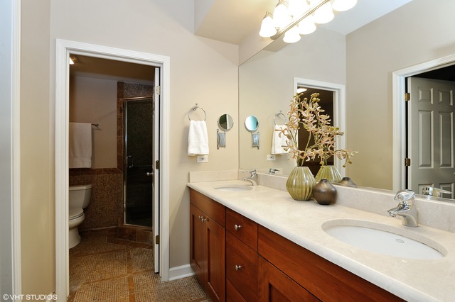 69 East 16th Street, Unit 2 Chicago, IL 60616 - Photo 12 of 16 a bathroom with a sink and a mirror
