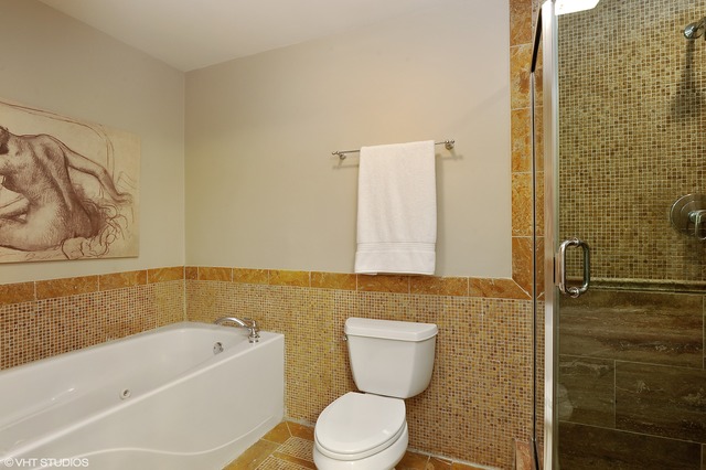 69 East 16th Street, Unit 2 Chicago, IL 60616 - Photo 13 of 16 a bathroom with a toilet and a bathtub