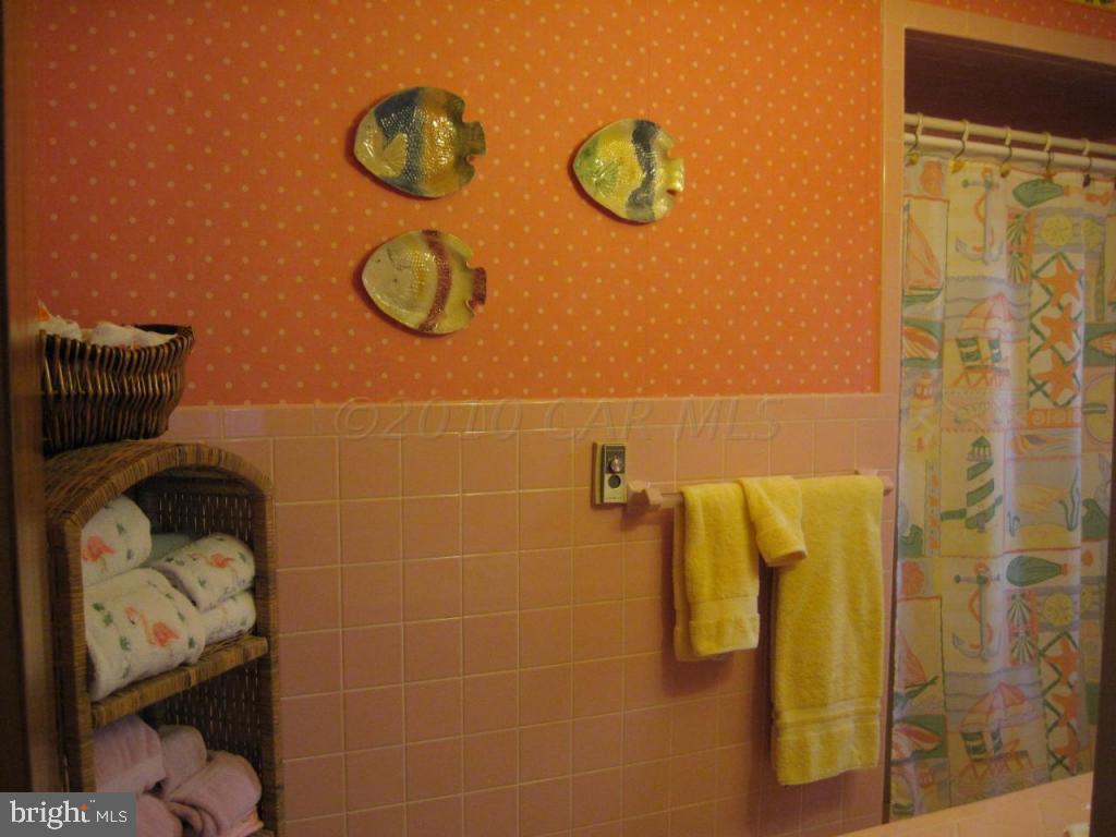 817 Riverside Drive Salisbury, MD 21801 - Photo 26 of 42 Gallery Image 26