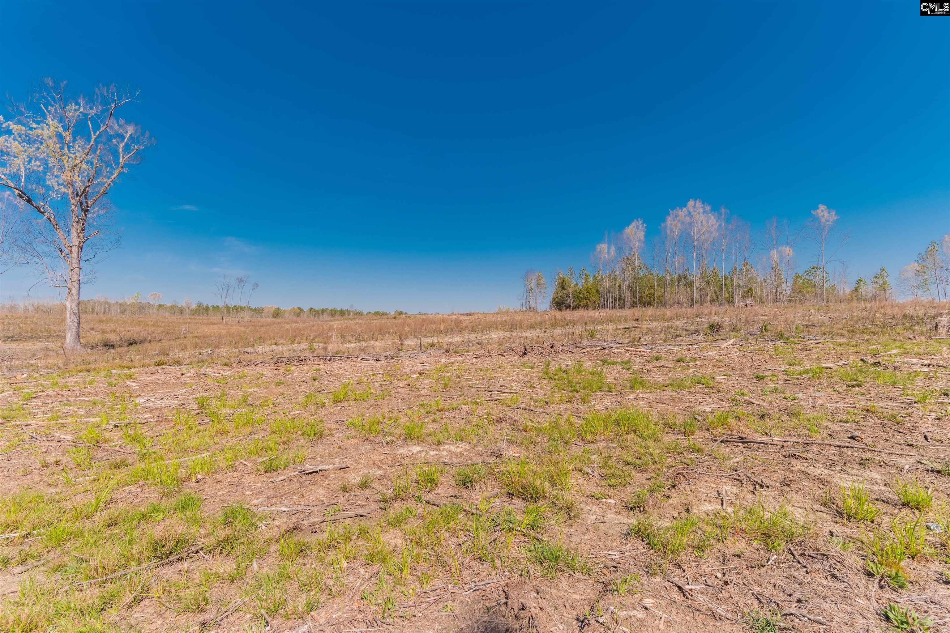Duncan Road Batesburg, SC 29006 - Photo 1 of 3