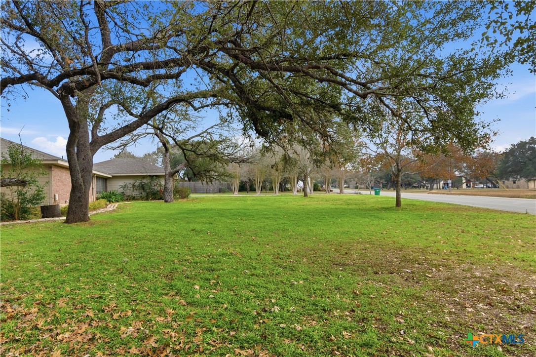 202 Wedgewood Seguin, TX 78155 - Photo 41 of 42