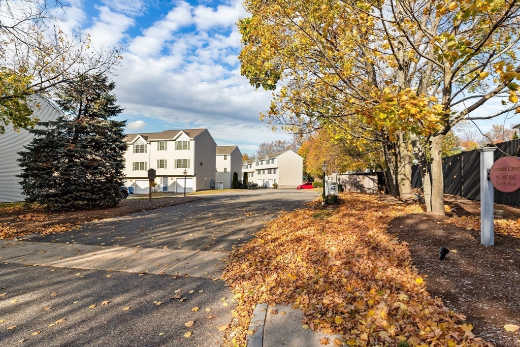 1005 Trapelo Road, Unit 8 Waltham, MA 02452 - Photo 23 of 24 a view of road with trees