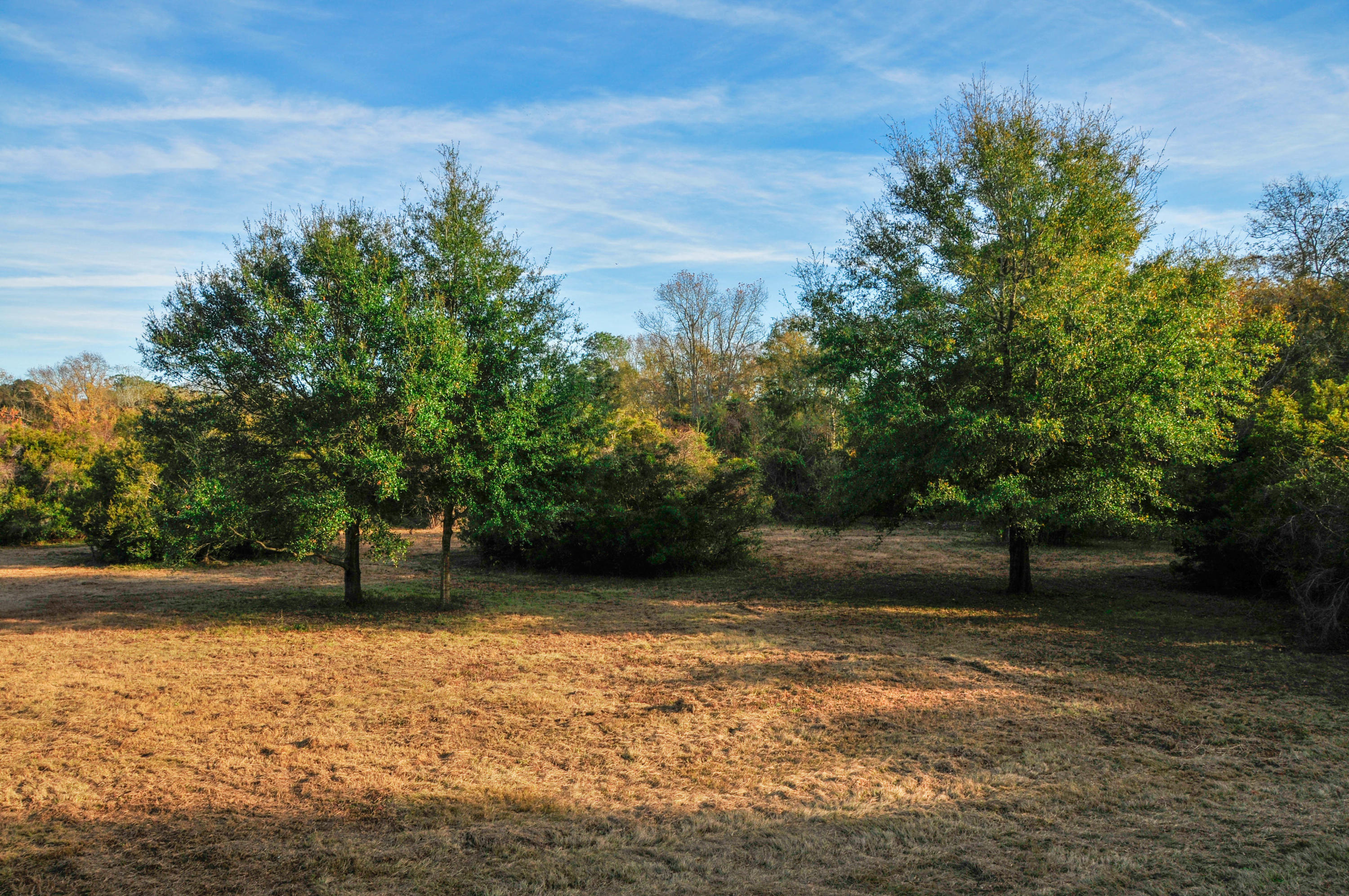 0 Shogry Point Road Johns Island, SC 29455 - Photo 2 of 10 lot4