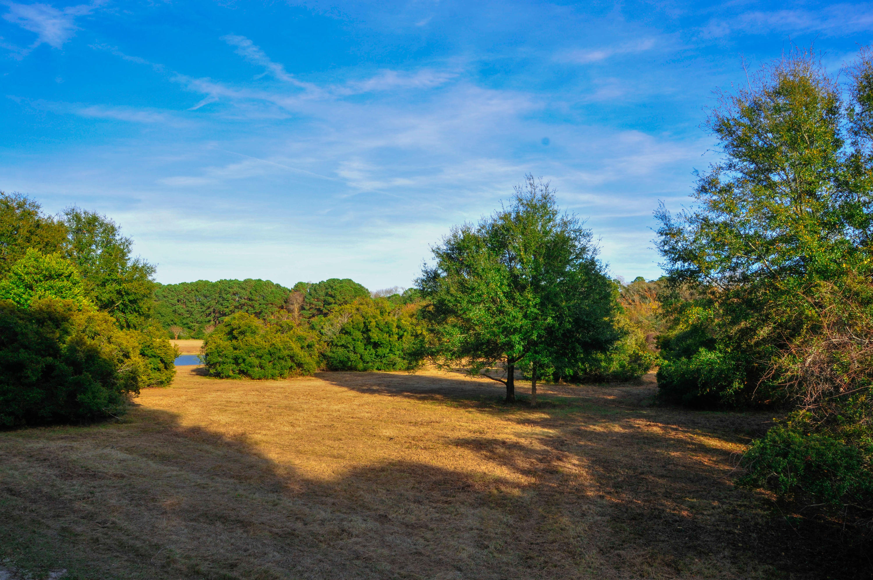 0 Shogry Point Road Johns Island, SC 29455 - Photo 3 of 10 Lot1