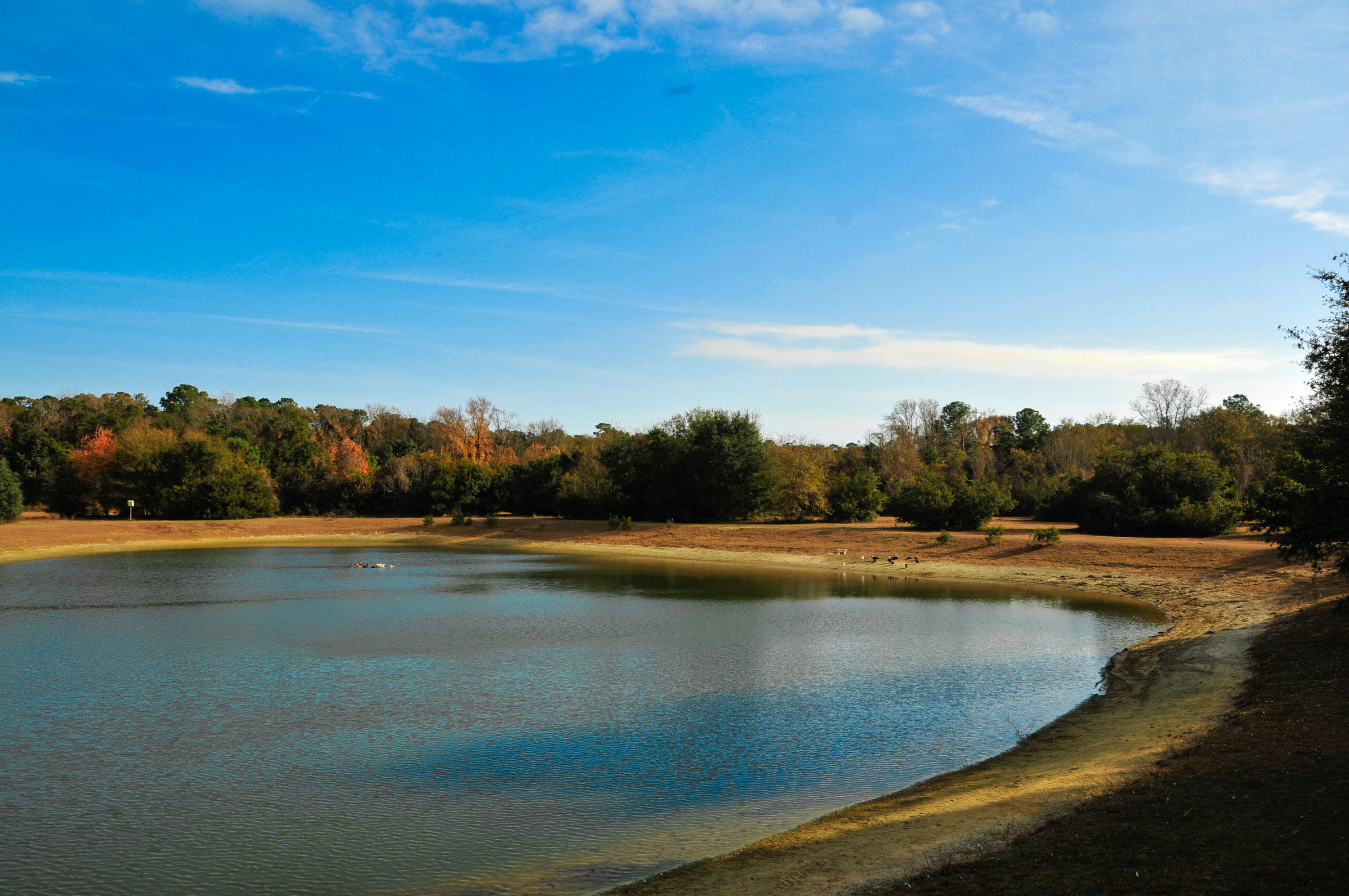 0 Shogry Point Road Johns Island, SC 29455 - Photo 6 of 10 Overheadlake