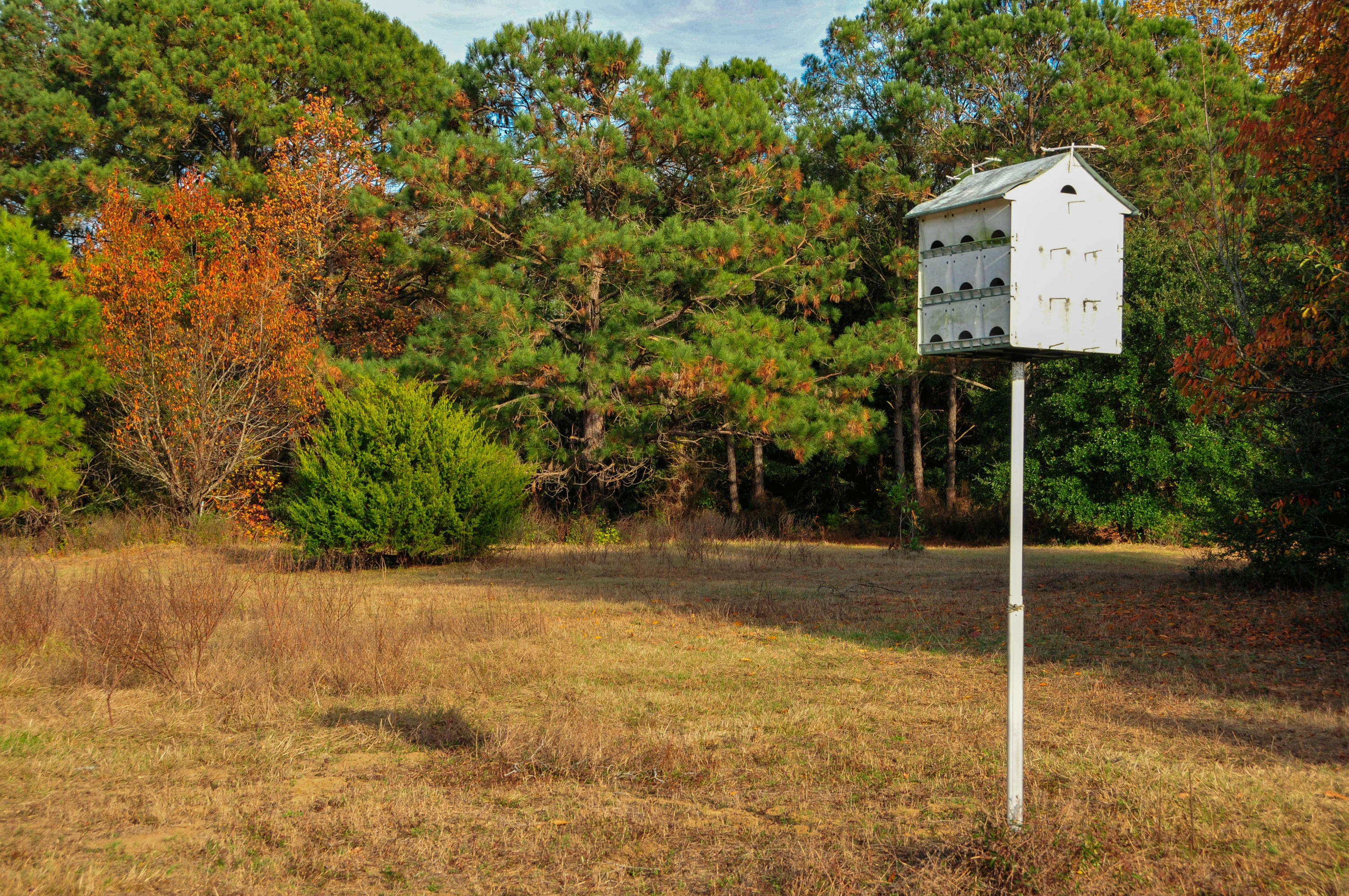 0 Shogry Point Road Johns Island, SC 29455 - Photo 9 of 10 birdhouse