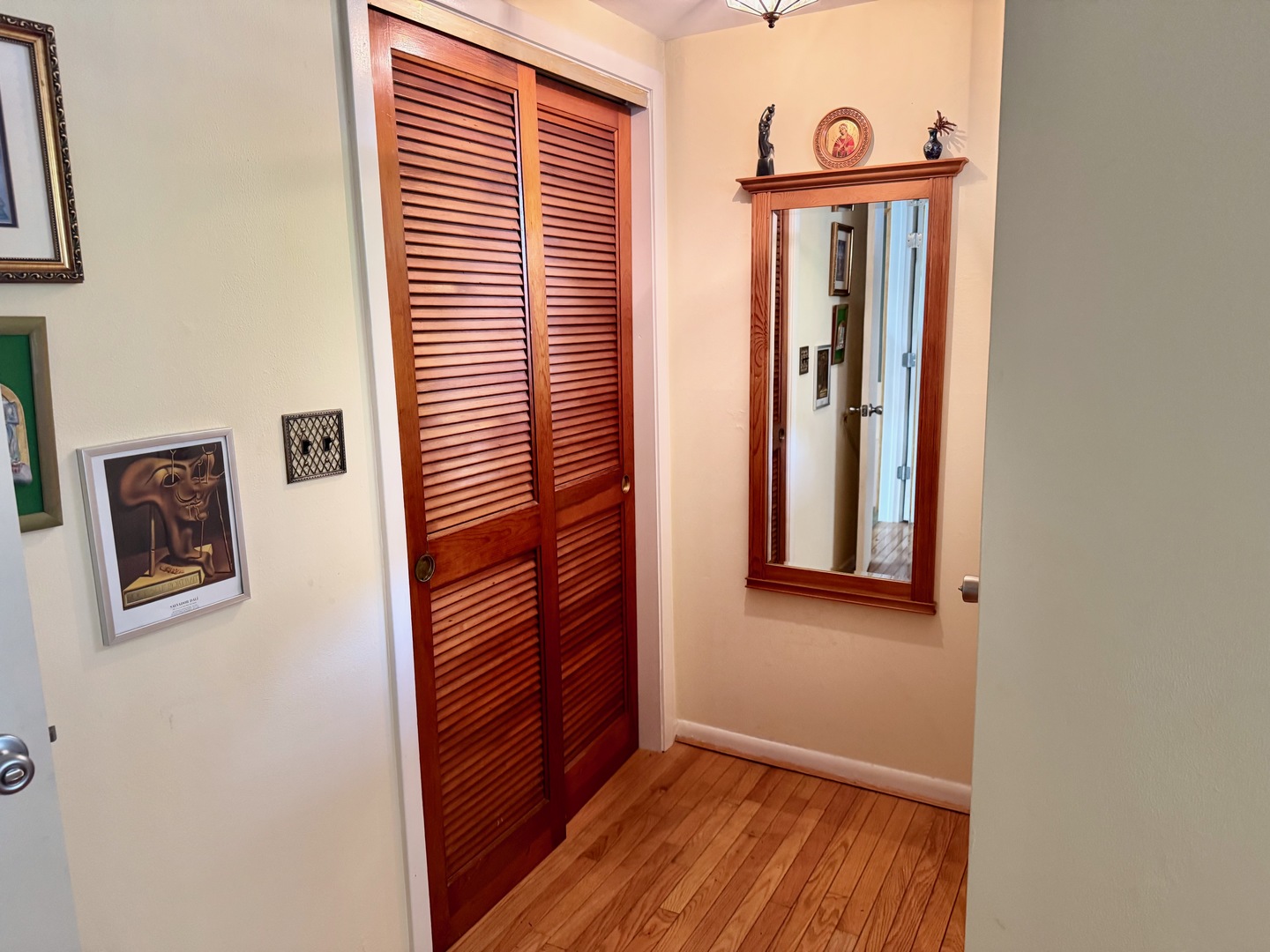 597 Lowden Avenue Glen Ellyn, IL 60137 - Photo 4 of 15 view of front door with wooden floor