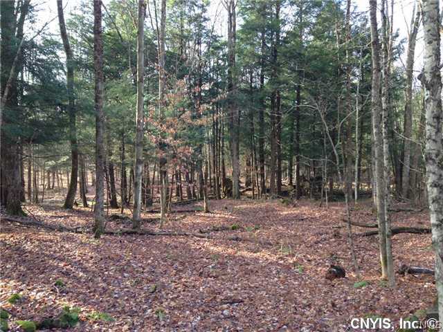 999 Howard Road Camden, NY 13316 - Photo 1 of 1 Land