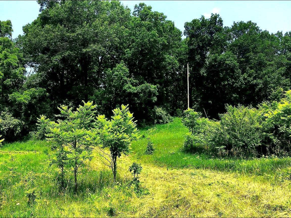 17 Austin Road Saline, MI 48176 - Photo 2 of 2