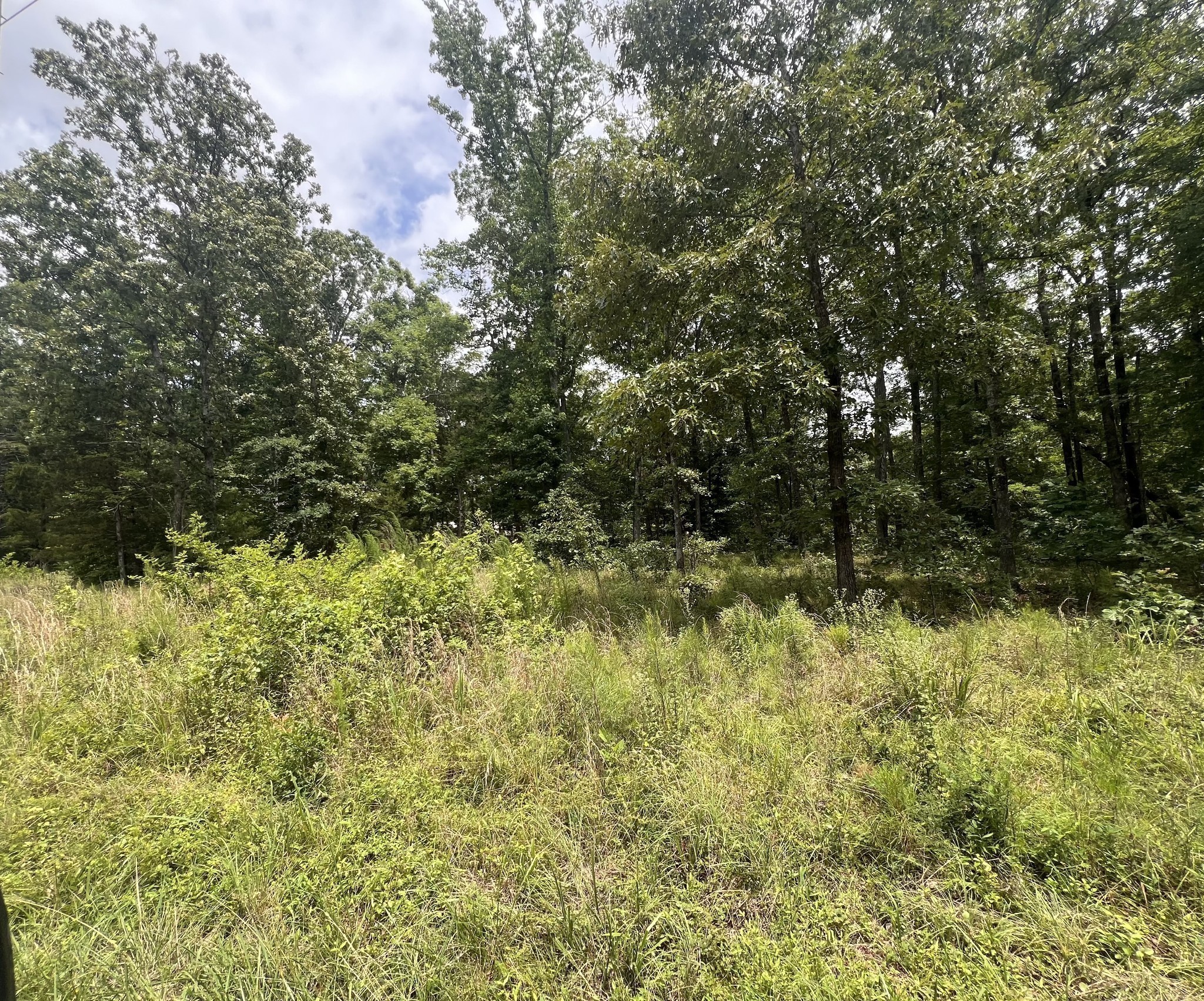 16 Lk Vw Road Linden, TN 37096 - Photo 5 of 8 a view of a yard