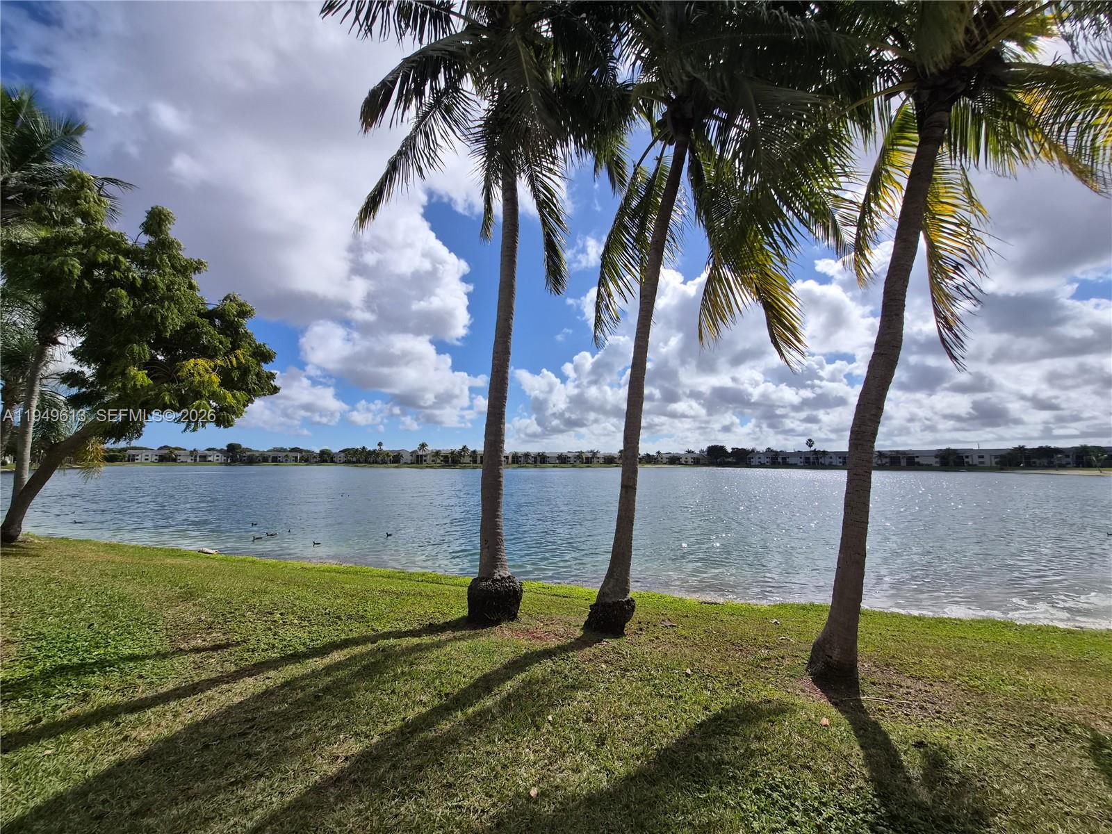 a view of swimming pool with a yard