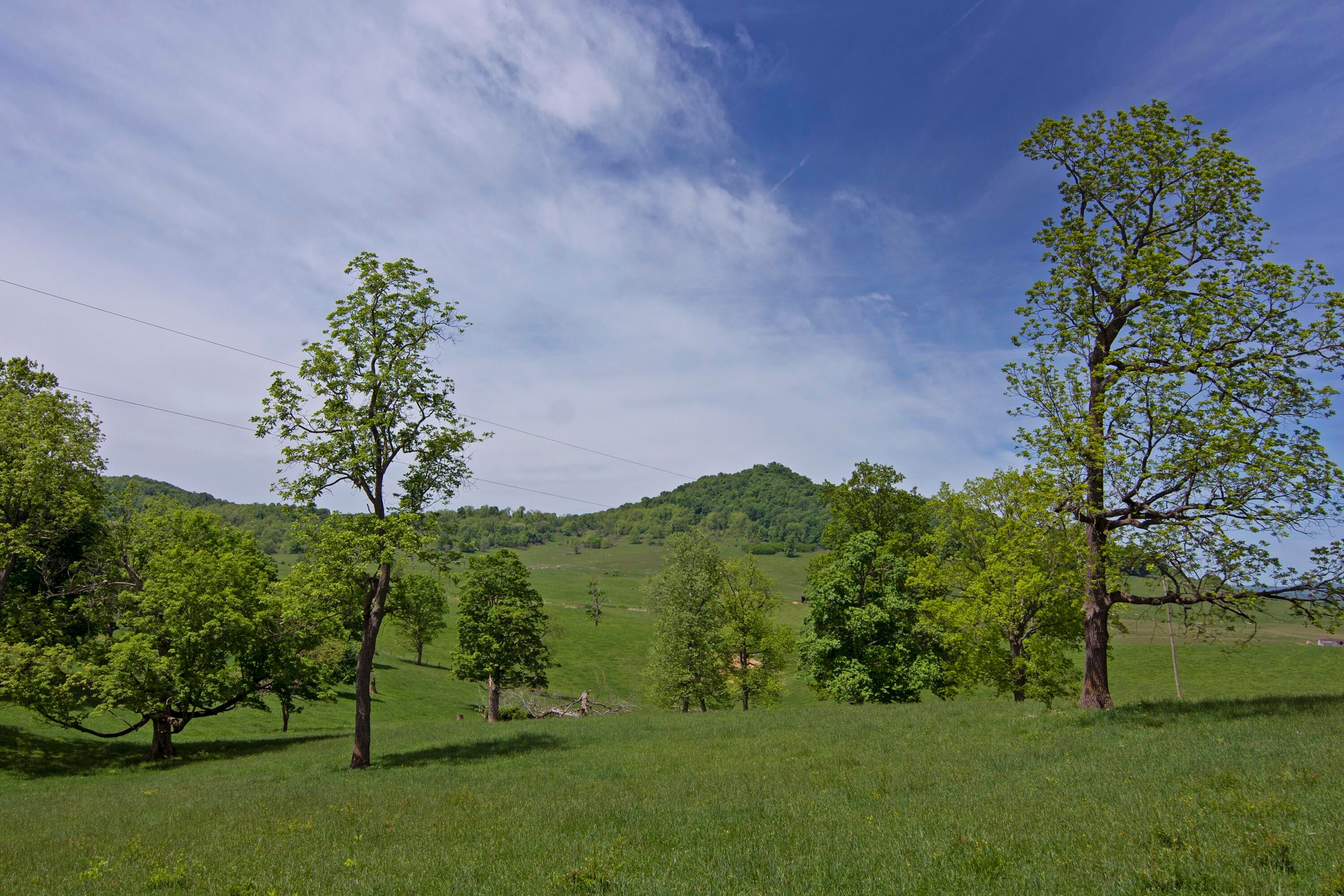 4061 Fairview Road Lewisburg, WV 24901 - Photo 75 of 93 Gallery Image 75