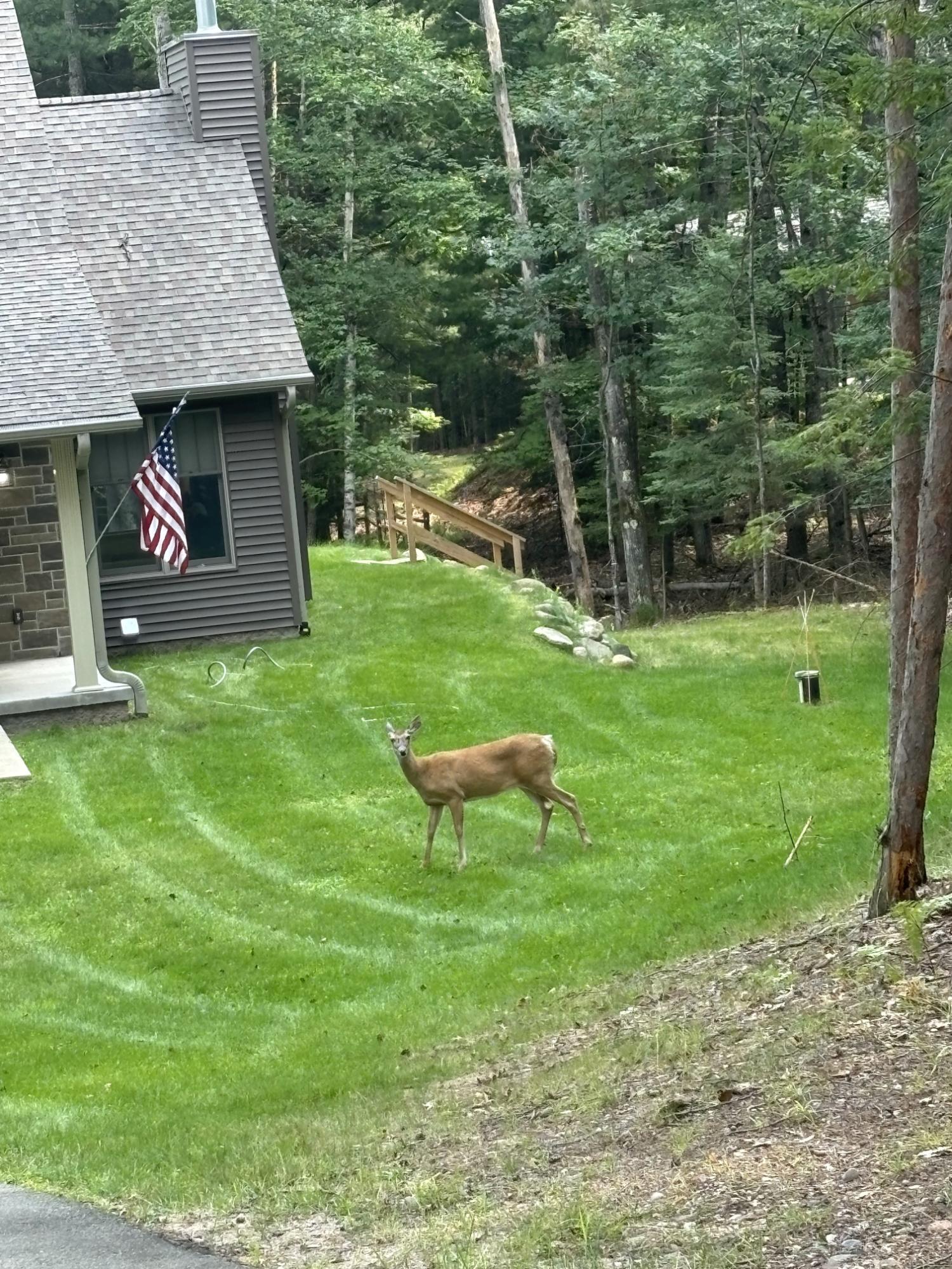 1364 East Dollar Lake Road Eagle River, WI 54521 - Photo 12 of 39 Gallery Image 12