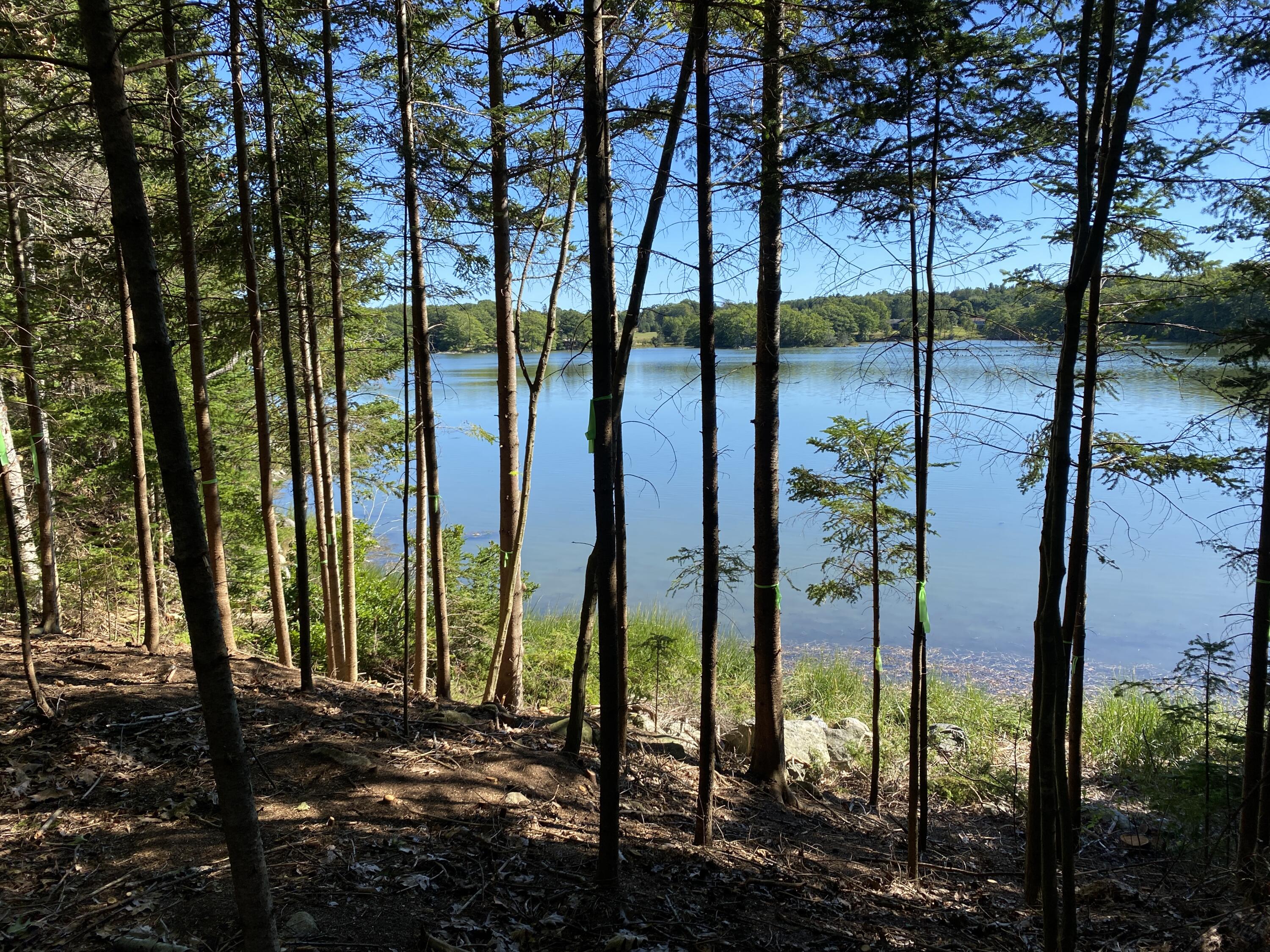 Lot 1 Frank's Flat Road Sedgwick, ME 04676 - Photo 1 of 16 C93BA5E2-D948-4D74-9273-4B00461291FD