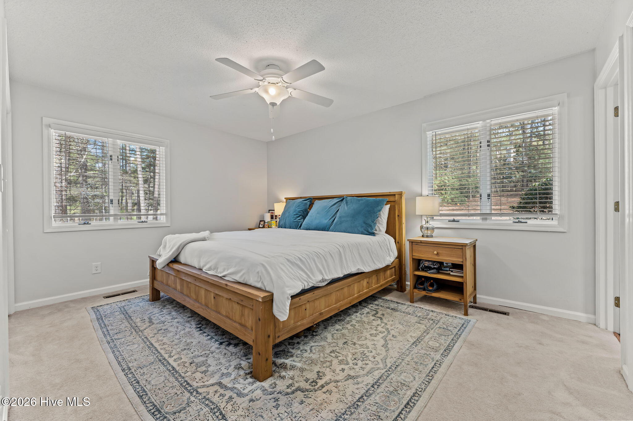 315 Elk Road Southern Pines, NC 28387 - Photo 18 of 40 29-web-or-mls-DSC04667