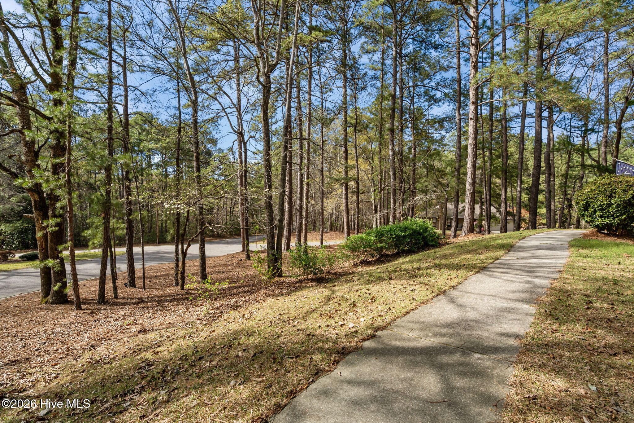 315 Elk Road Southern Pines, NC 28387 - Photo 22 of 40 34-web-or-mls-DSC04678