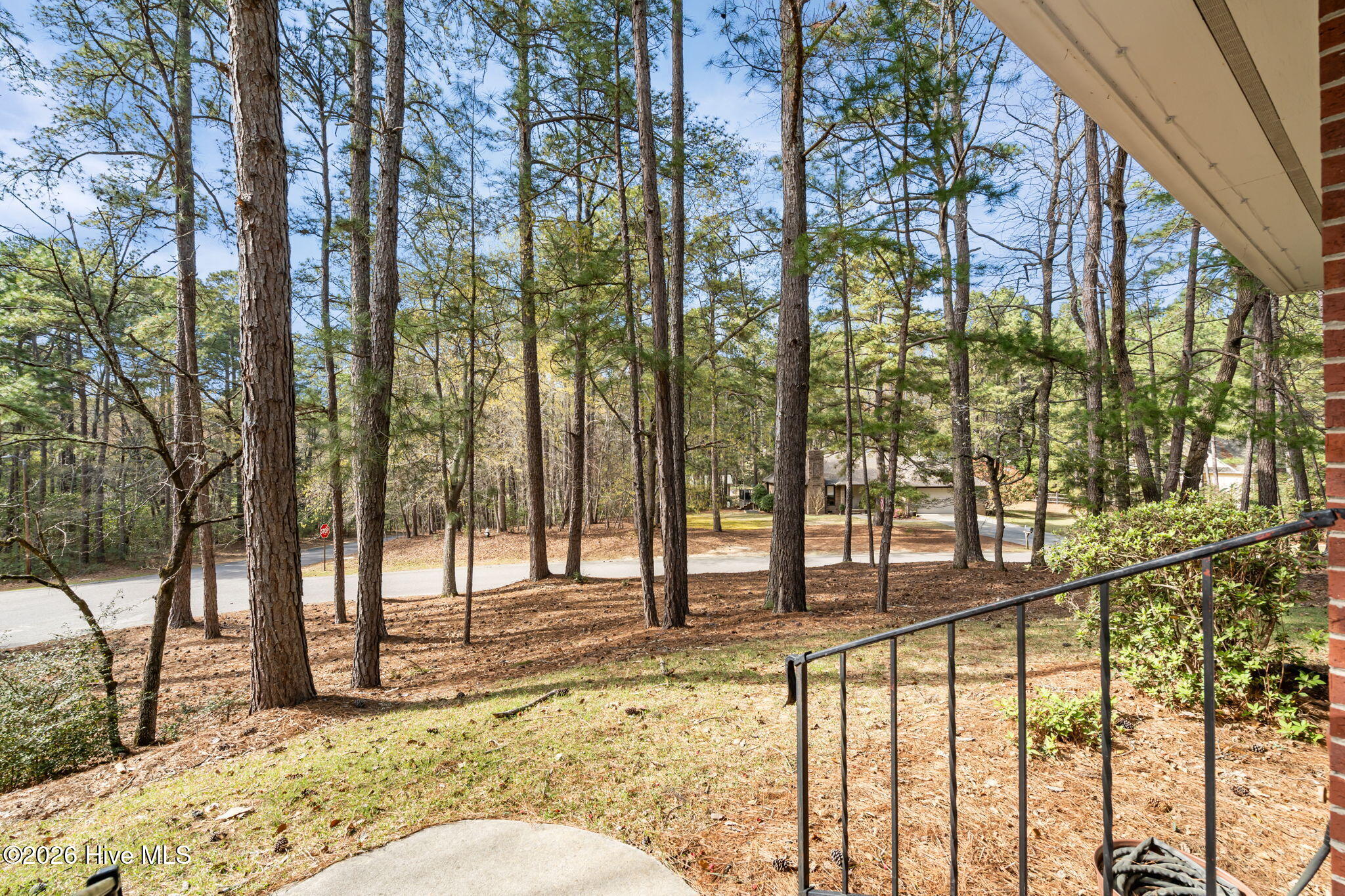 315 Elk Road Southern Pines, NC 28387 - Photo 26 of 40 36-web-or-mls-DSC04680