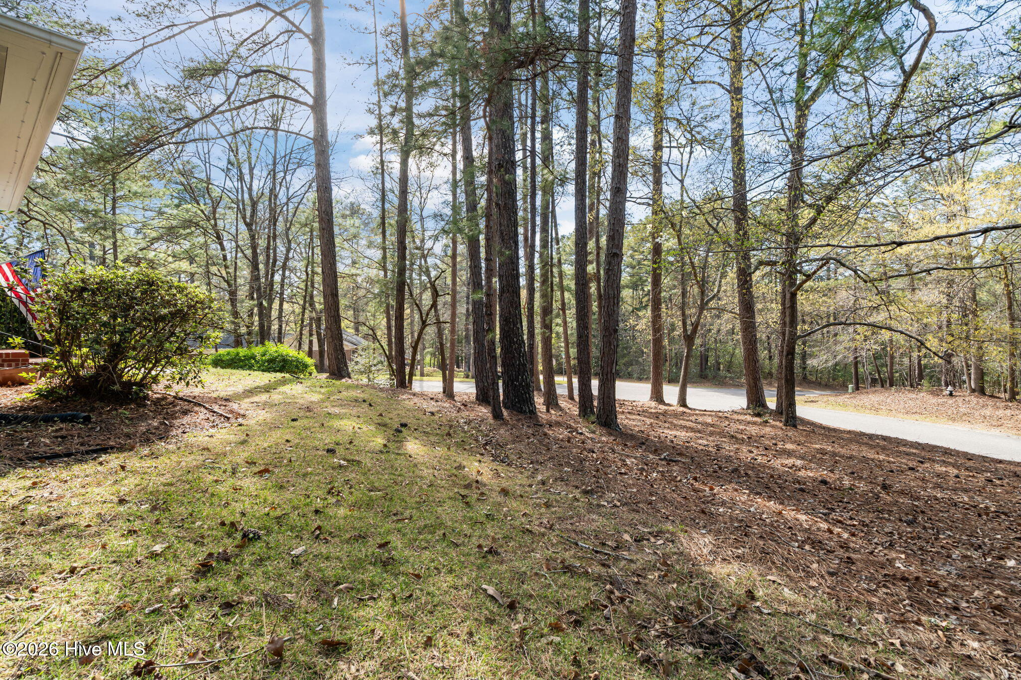 315 Elk Road Southern Pines, NC 28387 - Photo 28 of 40 37-web-or-mls-DSC04683