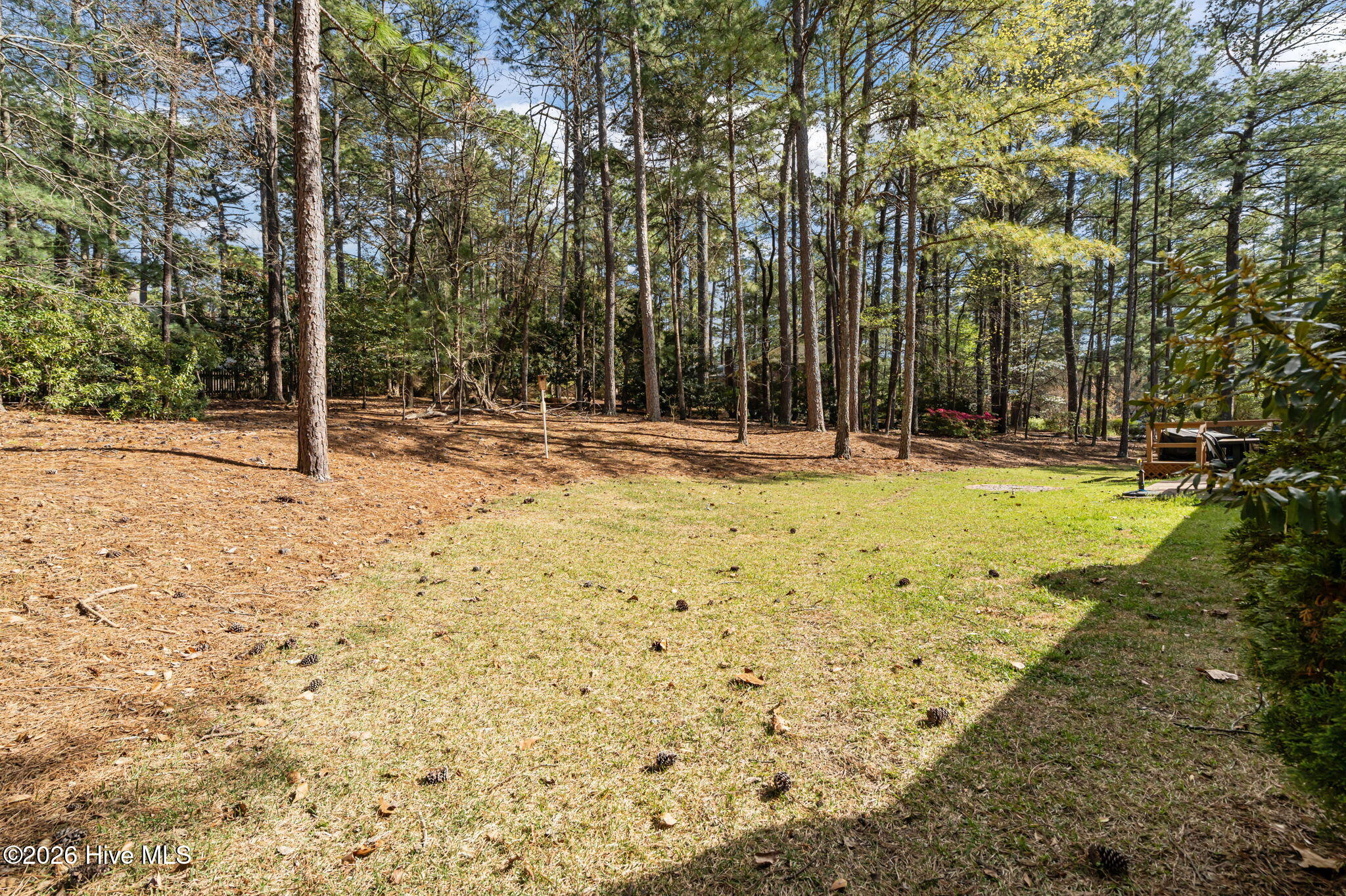 315 Elk Road Southern Pines, NC 28387 - Photo 30 of 40 38-web-or-mls-DSC04684