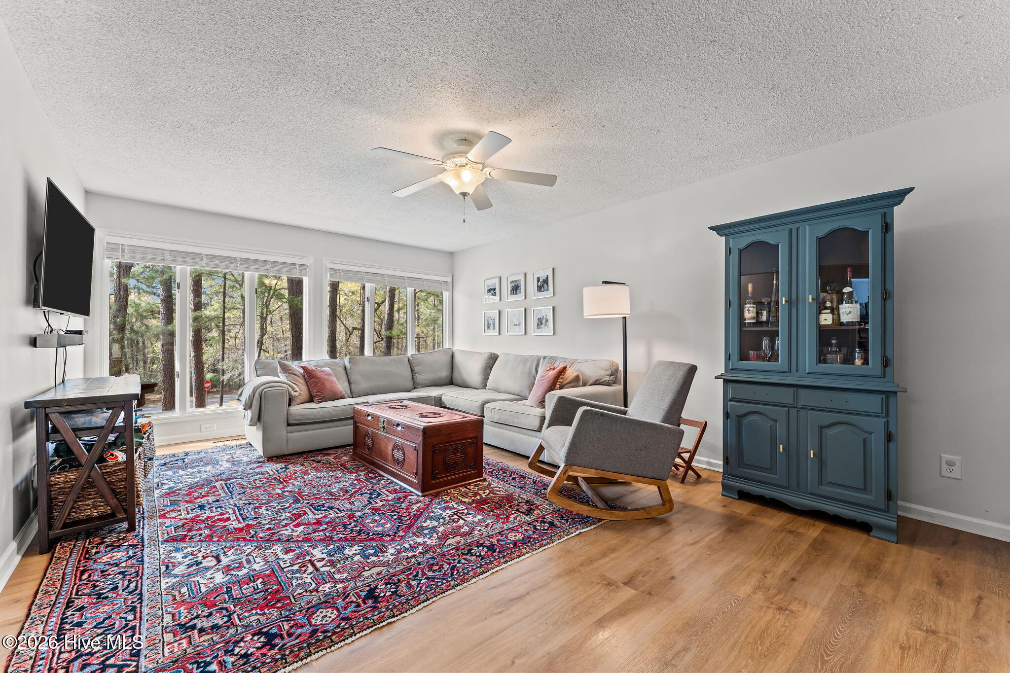 315 Elk Road Southern Pines, NC 28387 - Photo 3 of 40 14-web-or-mls-DSC04619