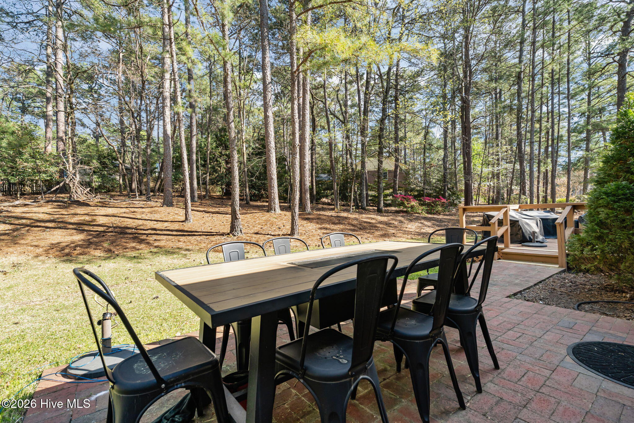 315 Elk Road Southern Pines, NC 28387 - Photo 36 of 40 41-web-or-mls-DSC04690