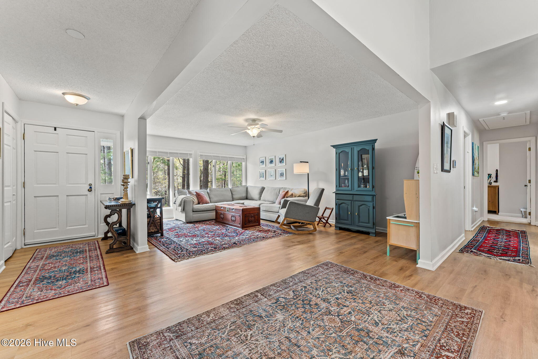 315 Elk Road Southern Pines, NC 28387 - Photo 6 of 40 11-web-or-mls-DSC04610