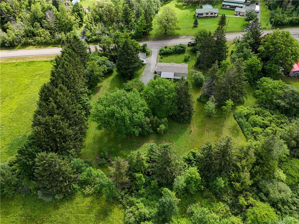 5420 Middle Road North Canadice, NY 14466 - Photo 6 of 47