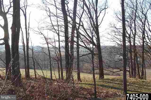 195 Raubenstine Road Hanover, PA 17331 - Photo 3 of 9