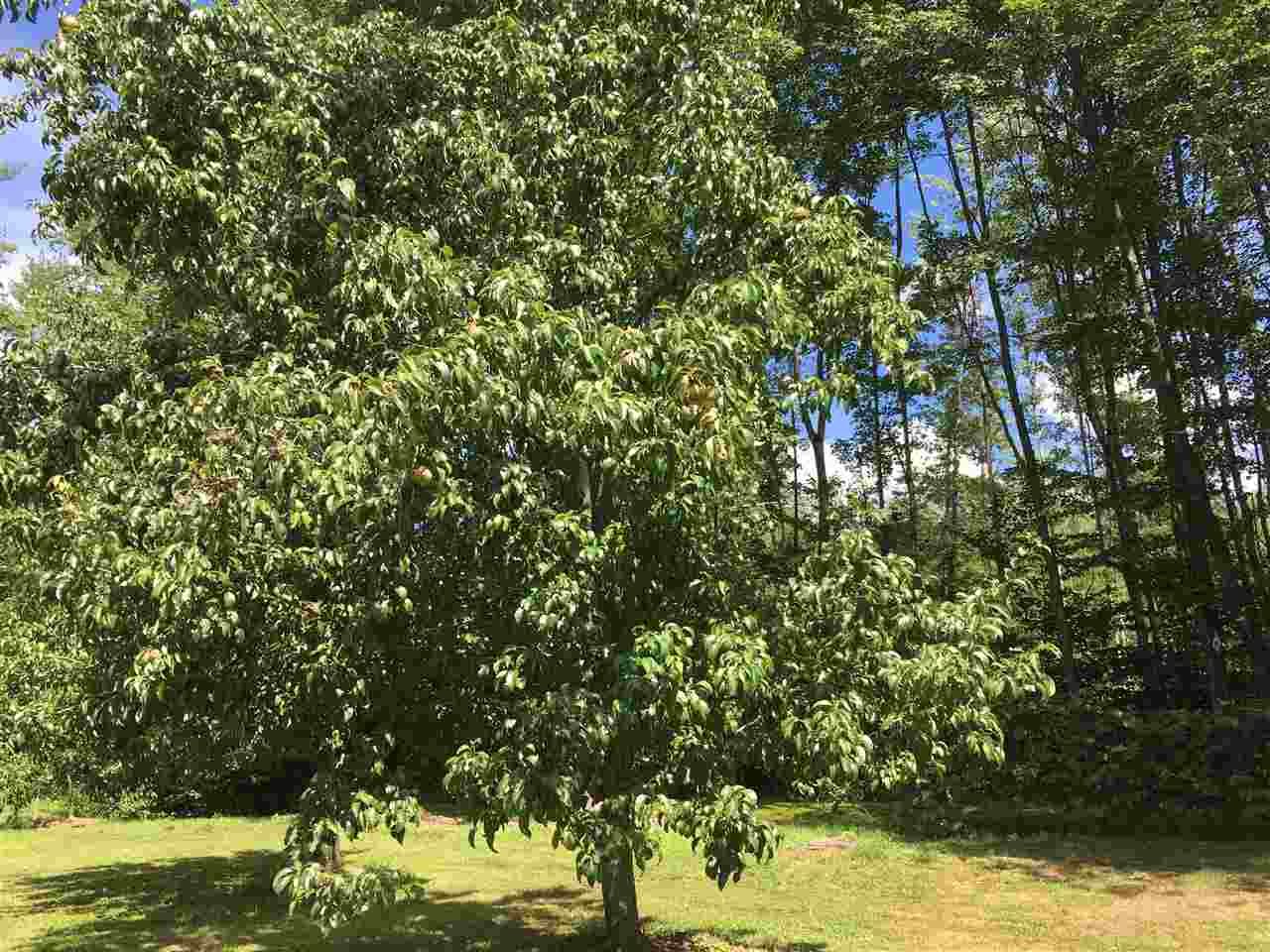 96 Drake Road New Hampton, NH 03256 - Photo 14 of 38