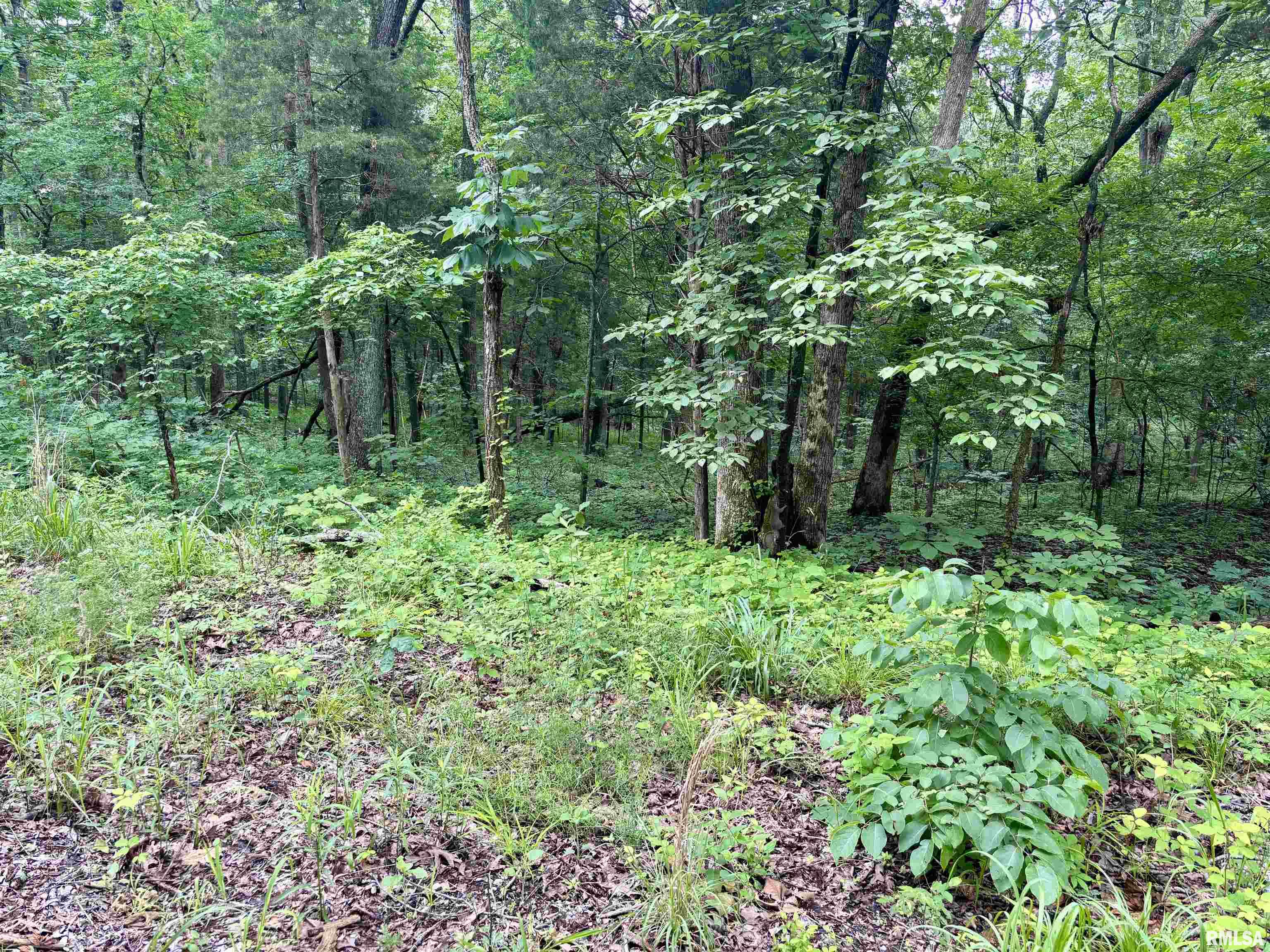 0 Stoneface Road Harrisburg, IL 62946 - Photo 12 of 13