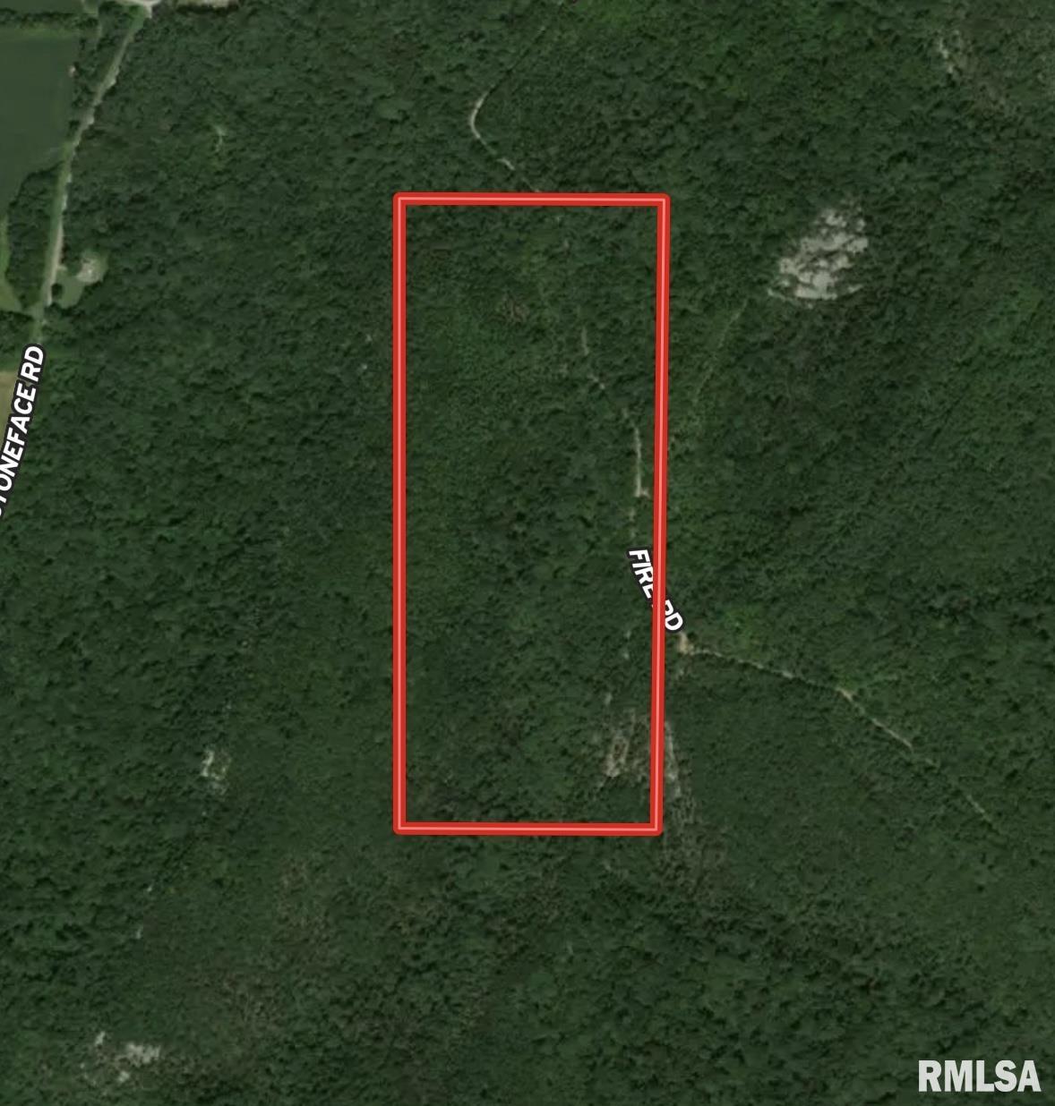 0 Stoneface Road Harrisburg, IL 62946 - Photo 2 of 13