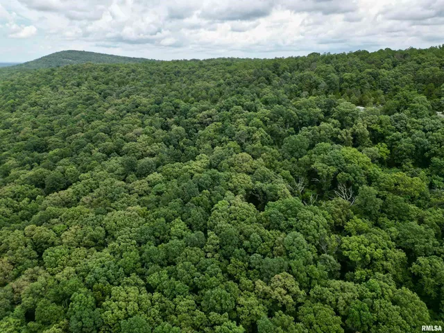 $205,000 | 0 Stoneface Road, Harrisburg, IL 62946