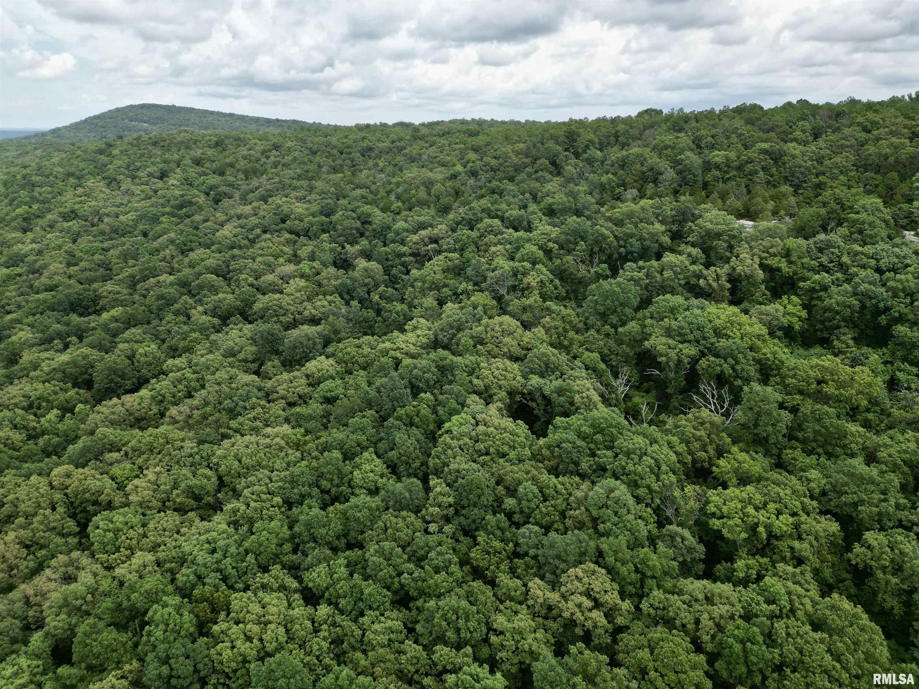 0 Stoneface Road Harrisburg, IL 62946 - Photo 3 of 13