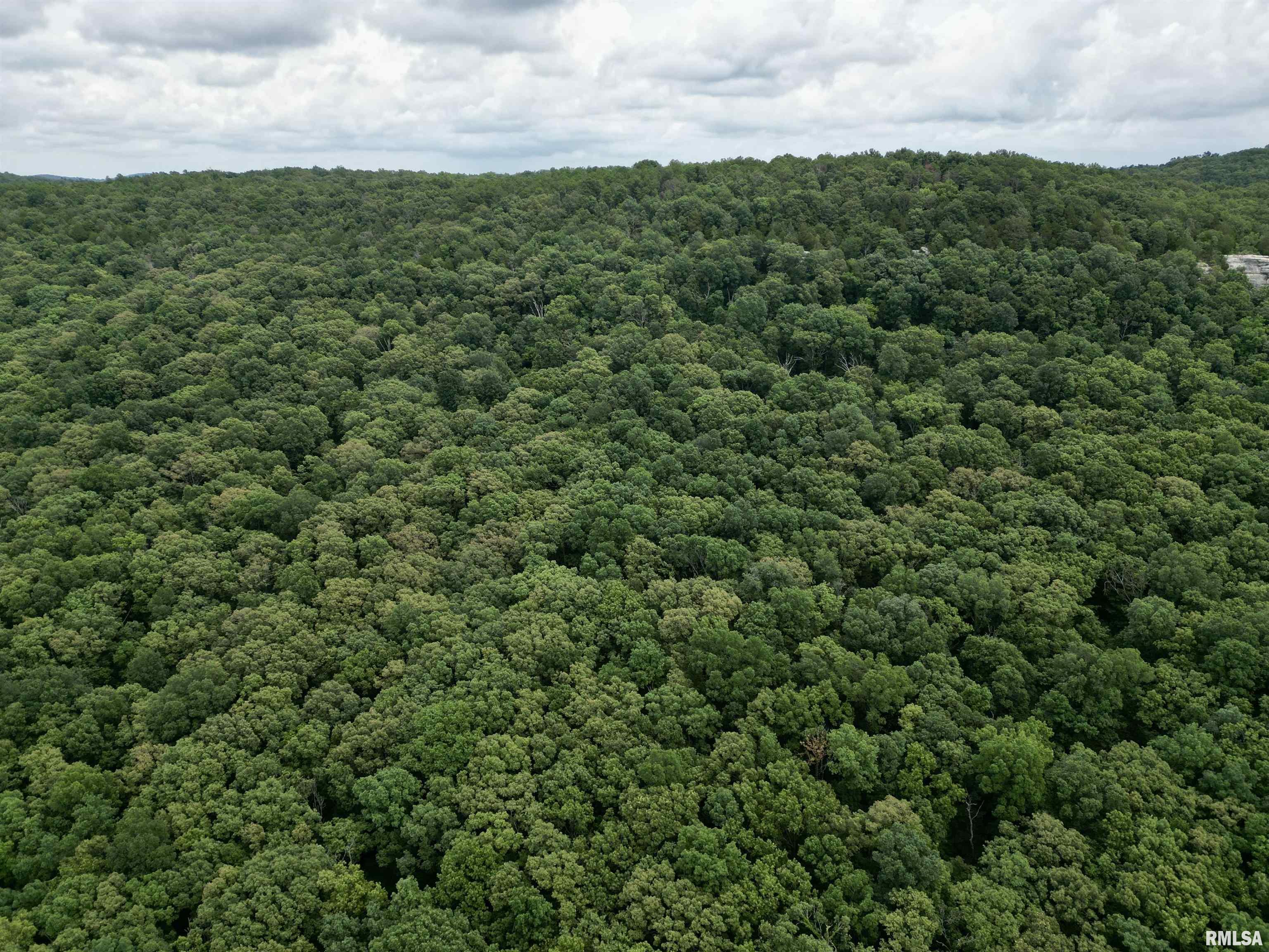 0 Stoneface Road Harrisburg, IL 62946 - Photo 4 of 13