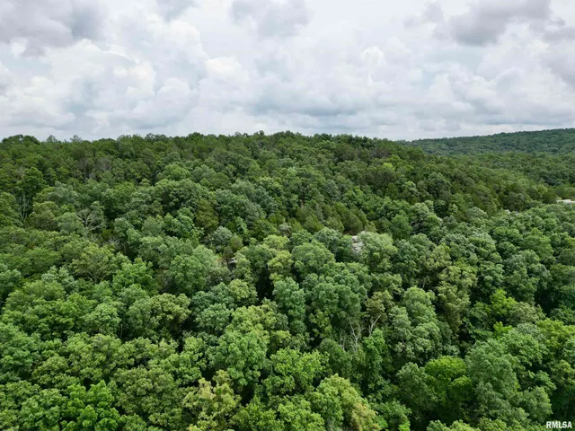 $205,000 | 0 Stoneface Road, Harrisburg, IL 62946