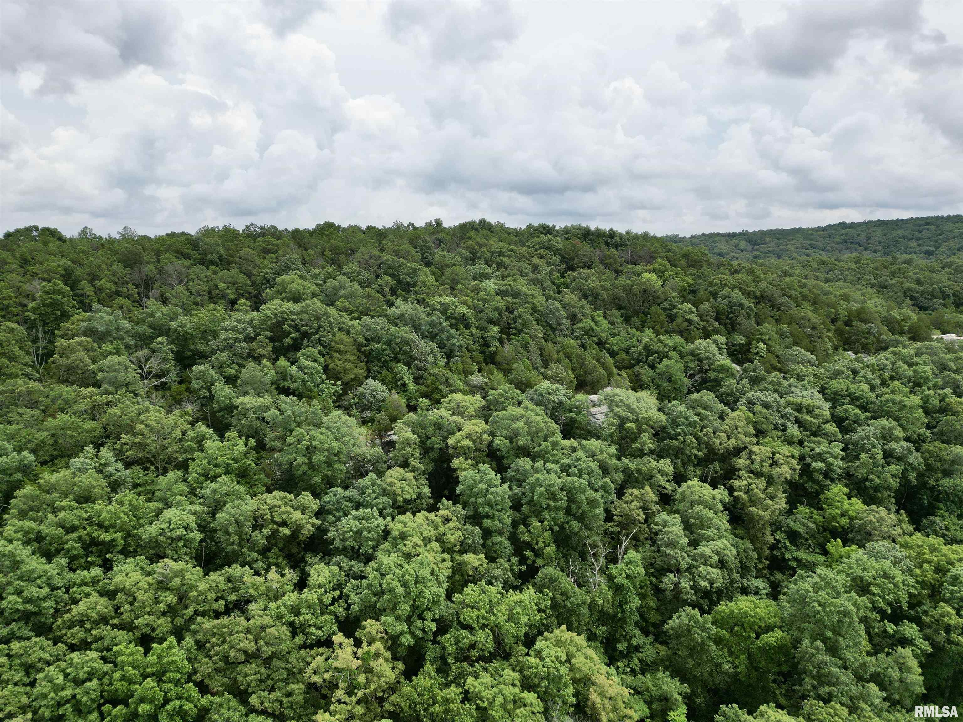 0 Stoneface Road Harrisburg, IL 62946 - Photo 5 of 13